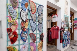 Nerja, Frigiliana & El Acebuchal: Full-Day Semi-Private Tour