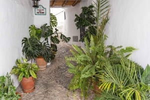 Nerja, Frigiliana & El Acebuchal: Full-Day Semi-Private Tour