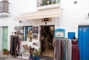 Nerja, Frigiliana & El Acebuchal: Full-Day Semi-Private Tour