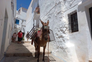 Nerja, Frigiliana & El Acebuchal: Full-Day Semi-Private Tour