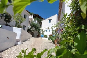Nerja, Frigiliana & El Acebuchal: Full-Day Semi-Private Tour