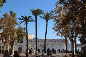 Nerja, Frigiliana & El Acebuchal: Full-Day Semi-Private Tour