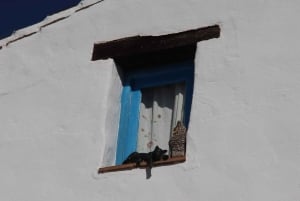 Nerja, Frigiliana & El Acebuchal: Full-Day Semi-Private Tour