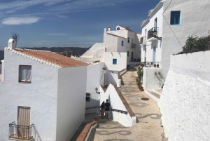 Nerja & Frigiliana Private Day Trip from Malaga
