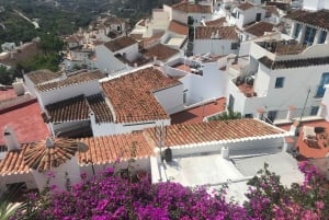 Nerja & Frigiliana Private Day Trip from Malaga