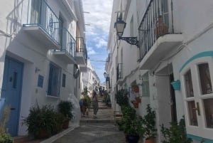 Nerja & Frigiliana Private Day Trip from Malaga