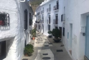 Nerja & Frigiliana Private Day Trip from Malaga