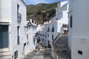 Nerja & Frigiliana Private Day Trip from Malaga