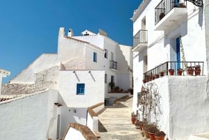 Nerja & Frigiliana Private Day Trip from Malaga
