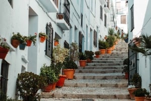 Nerja & Frigiliana Private Day Trip from Malaga
