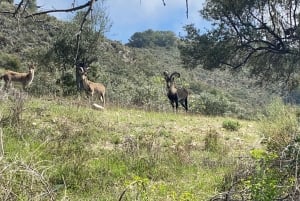 Nerja: wędrówka Maro-Cerro Gordo, snorkeling i przekąski