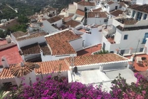 Nerja: Excursión privada de un día a Nerja y Frigiliana desde Málaga