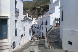 Nerja: escursione privata di un giorno a Nerja e Frigiliana da Malaga
