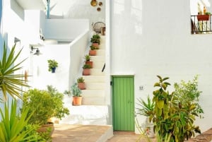 Nerja e Frigiliana: gita di 1 giorno da Malaga