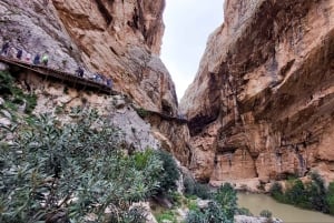 Nerja, Torrox, or Torre del Mar: Caminito del Rey Day Trip
