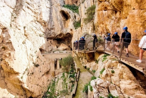 Nerja, Torrox, or Torre del Mar: Caminito del Rey Day Trip