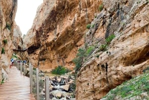 Nerja, Torrox, or Torre del Mar: Caminito del Rey Day Trip