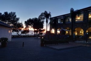 Nigth Tour in Malaga mit dem Elektroauto: Genieße den Sonnenuntergang