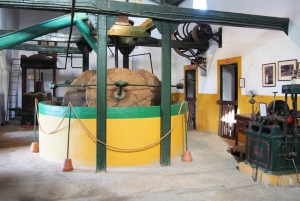Almazara y Mercado Agroalimentario de la Costa del Sol