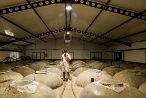 OLIVE OIL & WINE TOUR Organic fields - 5 Wines + 3Olive Oils