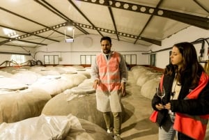 OLIVE OIL & WINE TOUR Organic fields - 5 Wines + 3Olive Oils