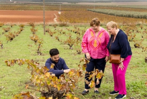 OLIVE OIL & WINE TOUR Organic fields - 5 Wines + 3Olive Oils