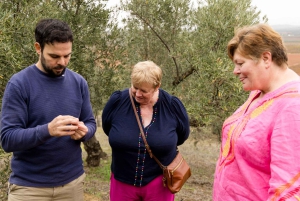 OLIVE OIL & WINE TOUR Organic fields - 5 Wines + 3Olive Oils