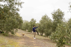 OLIVE OIL & WINE TOUR Organic fields - 5 Wines + 3Olive Oils