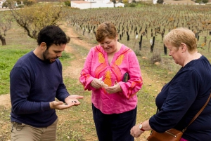 OLIVE OIL & WINE TOUR Organic fields - 5 Wines + 3Olive Oils
