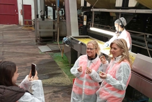 OLIVE OIL & WINE TOUR Organic fields - 5 Wines + 3Olive Oils