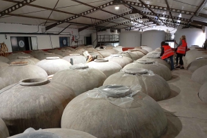 OLIVE OIL & WINE TOUR Organic fields - 5 Wines + 3Olive Oils