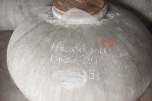 OLIVE OIL & WINE TOUR Organic fields - 5 Wines + 3Olive Oils