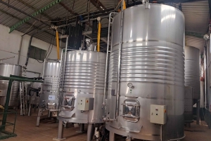 OLIVE OIL & WINE TOUR Organic fields - 5 Wines + 3Olive Oils