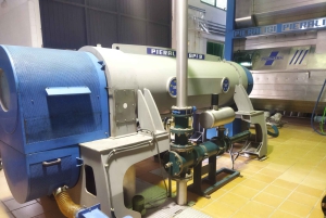 OLIVE OIL & WINE TOUR Organic fields - 5 Wines + 3Olive Oils