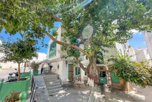 From Costa del Sol: Tangier, Morocco Day Trip with Lunch