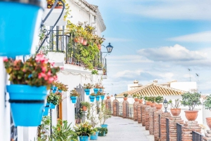Panoramiczny widok na Malagę z Muzeum Wina z Costa del Sol