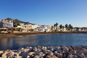 Pedregalejo Food Tour: Explore Malaga's most iconic quarter