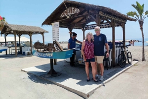 Pedregalejo Food Tour: Explore Malaga's most iconic quarter