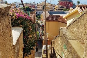 Pedregalejo Food Tour: Explore Malaga's most iconic quarter