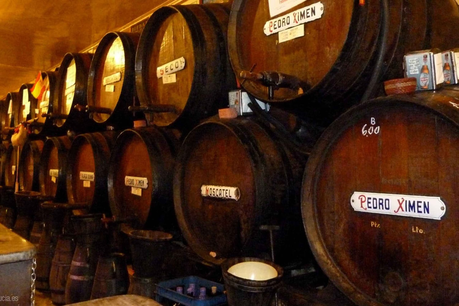 VISITE GUIDÉE PREMIUM TAPAS : Paella, dégustations au marché et cave