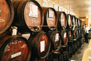 PREMIUM TAPAS TOUR: Tapas, Paella and Winery