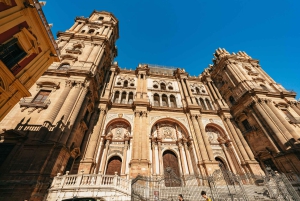 PREMIUM TAPAS TOUR: Tapas, Paella and Winery