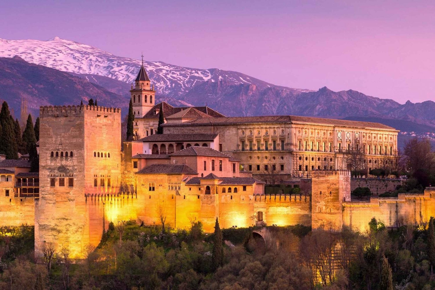 Private Alhambra Tour From Malaga & Surrounds