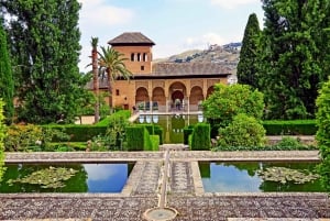 Private Alhambra Tour From Malaga & Surrounds