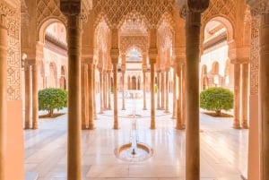 Private Alhambra Tour From Malaga & Surrounds