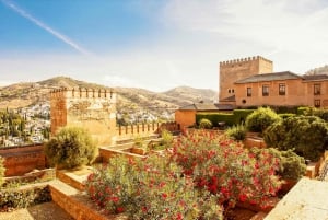 Private Alhambra Tour From Malaga & Surrounds