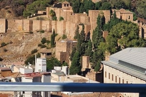 Tour privati in bicicletta