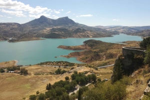 Privat dagsudflugt til Ronda og Malaga fra Sevilla