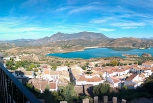 Privat dagsudflugt til Ronda og Malaga fra Sevilla