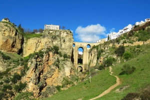Privat dagsudflugt til Ronda og Malaga fra Sevilla